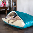 Two Italian Greyhound dogs cuddling inside a sleeping bag style Snuggle Dog Bed by designers Charley Chau in a teal velvet with a cream fur linining in a home setting with a dark wooden parquet floor.