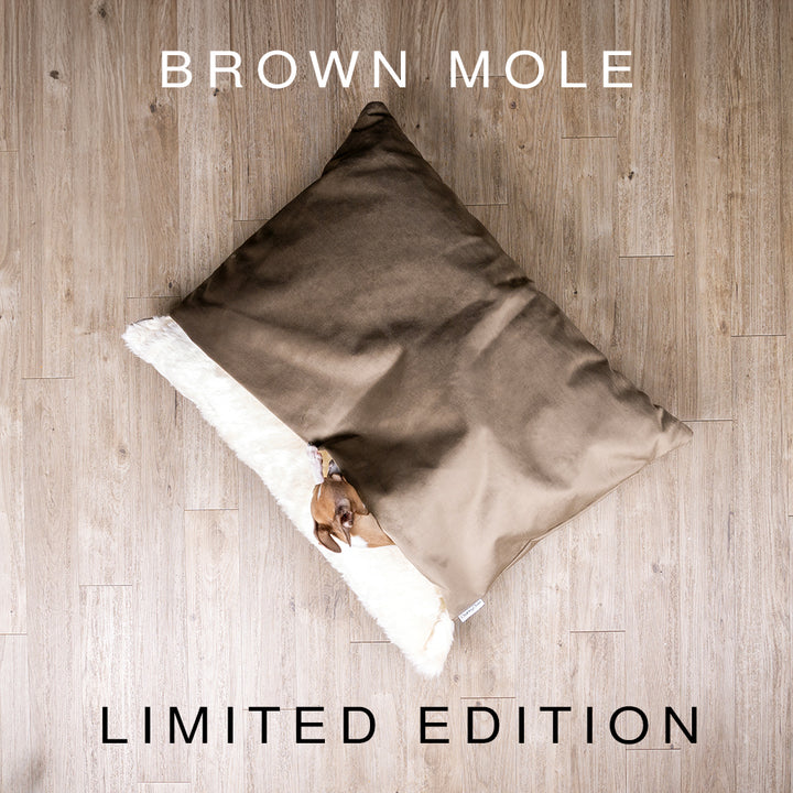 Spare Snuggle Bed / Burrow Bag Covers (Classic Blanket Top)