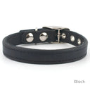 A Classic style dog collar made from calf leather shown in the colour Black on a white backdrop. Handmade to order. 