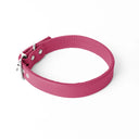 A handcrafted, bespoke RASPBERRY PINK dog collar in a classic cut, made to order with finest quality Italian Calf Leather, to fit all breeds and sizes of dog, on a white background. Handcrafted by Petiquette Collars in England for a quality dog collar that is made to last. 