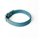 A handcrafted, bespoke TEAL leather dog collar in a classic cut, made to order with finest quality Italian Calf Leather, to fit all breeds and sizes of dog, on a white background. Handcrafted by Petiquette Collars in England for a quality dog collar that is made to last. 