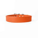 A handcrafted, bespoke birght orange leather dog collar in a classic cut, made to order with finest quality Italian Calf Leather in England, to fit all breeds and sizes of dog, on a white background.