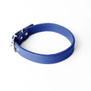 A handcrafted, bespoke BRIGHT BLUE leather dog collar in a classic cut, made to order with finest quality Italian Calf Leather, to fit all breeds and sizes of dog, on a white background. Handcrafted by Petiquette Collars in England for a quality dog collar that is made to last. 
