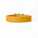 A handcrafted, bespoke yellow leather dog collar in a classic cut, made to order with finest quality Italian Calf Leather, to fit all breeds and sizes of dog, on a white background.