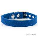 A Classic style dog collar made from calf leather shown in the colour Vibrant Blue on a white backdrop. Handmade to order. 