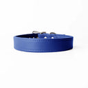 A handcrafted, bespoke BRIGHT BLUE leather dog collar in a classic cut, made to order with finest quality Italian Calf Leather, to fit all breeds and sizes of dog, on a white background. Handcrafted by Petiquette Collars in England for a quality dog collar that is made to last. 