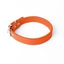 A handcrafted, bespoke birght orange leather dog collar in a classic cut, made to order with finest quality Italian Calf Leather in England, to fit all breeds and sizes of dog, on a white background.