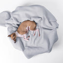 A small brown and white dog lies curled up on a light gray mini waffle-weave blanket draped in a round, high-wall dog bed, on a plain white background.
