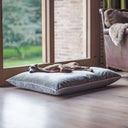 An Italian Greyhound lying on a grey velvet machine washable pet bed in a living room next to a large wooden framed window.