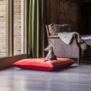An Italian Greyhound lying on a red and orange velvet machine washable dog bed next to a leather arm chair in a front of a large wood framed window.