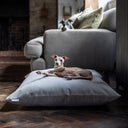 Dog lying on a luxury deep-filled dog bed mattress in pale grey in a home setting next to the end of a sofa.