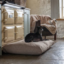 A black dog lying on a deep-filled luxury dog bed mattress in beige infront of a cream coloured Aga stove with a dog lying on a luxury faux-fur dog blanket on an armchair in the background.