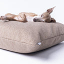 Close up of a dog asleep on comfortable luxury dog bed mattress in a beige woven upholstery fabric on a white backdrop.