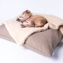 A dog sleeping very cosy with a beige sherpa fleece dog blanket on a luxury dog bed mattress in a beige woven upholstery fabric on a white backdrop.