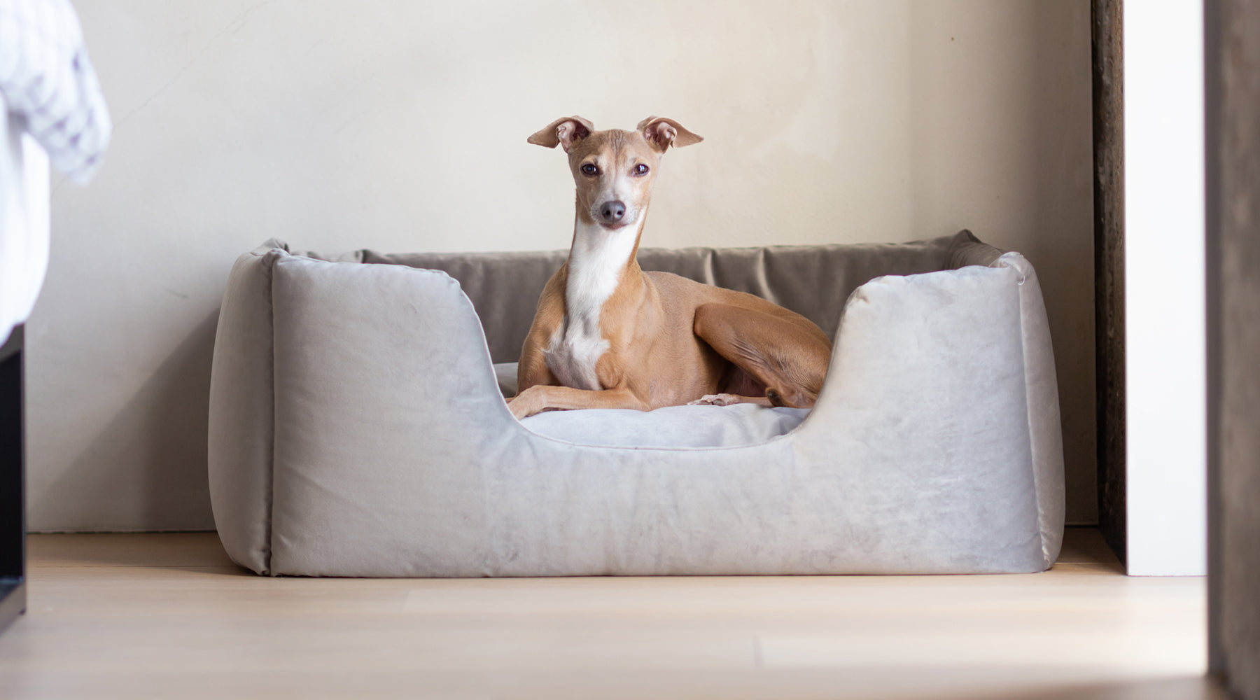 Best dog beds for deals whippets