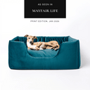 A luxurious high-sided dog bed in teal velvet, The Deeply Dishy Dog Bed by designers Charley Chau, on a white backdrop with an "As seen in Mayfair Life" press feature badge above.