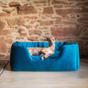 A dog lying in a high-sded dog bed in blue velvet with a supportive mattress in a home setting. 