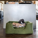 Two dogs curled up cosy together in a high-sided luxury dog bed in green velvet in a contemporary home setting with a dark wooden floor.