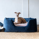 A dog lying in a luxury high-wall dog bed by designers Charley Chau with navy blue velvet bed sides and contrasting pale pink velvet mattress in a home setting with a whitewashed wall and natural hessian rug.