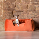 A dog lying in an orange velvet luxury dog bed with hig sides in a home setting with stone walls and wooden floor.