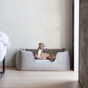 A dog resting in a deep sided luxury velvet dog bed in grey in a contemporary home setting with a white wall and pale wooden floor. 