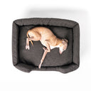A dark brown, high-sided box-style luxury dog bed seen from above with an Italian Greyhound dog iyng in the bed very comfortable and asleep on a white backdrop.