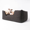 Dark brown high-sided dog bed with an Italian Greyhound dog lying in the bed with a beige fleece blanket as a cushion  on a white backdrop.