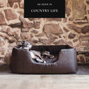 A dark brown high-sided Deeply Dishy Dog Bed by designers Charley Chau with an Italian Greyhound dog lying in the bed looking calm and content, in a home setting with a stone wall backdrop and stone and wood floor.