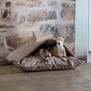 Dog Snuggle Bed for Scrabblers in Weave II - Charley Chau - luxury dog bedding