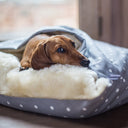 Dog Snuggle Bed in Cotton - Charley Chau - luxury dog bedding