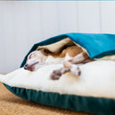 Dog Snuggle Bed in Velour - Charley Chau - luxury dog bedding