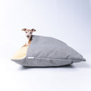 Itaslian Greyhound dog peeking out of a  dog cave bed style grey woven snuggle dog bed with cream faux-fur fleece lning on a white backdrop.