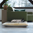 A black and white dog sleeping on top of a luxurious grey dog snuggle bed in a contemporary home setting.
