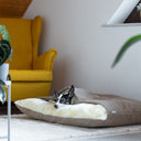 Black and white dog sleeping covered up inside a dog snuggle bed, a cave bed style dog bed, in a beige woven upholstery fabric, in a contemporary home setting.
