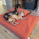 Two dogs lying on an orange luxury travel pad mattress with an orange bolster cushion in front of a wood burning stove in a home setting.