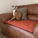 A dog sitting on top of an orange luxury travel dog pad placed on a  brown leather sofa in a home setting.
