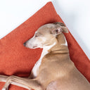 Close up shot of a dog sleeping very calm and content on an orange luxury dog travel pad mattress.