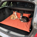 Two dogs lying in the trunk of a car on an orange luxury travel dog bed mattress with an orange bolster cushion.