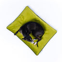 Black Italian Greyhound dog curled up on a velvet travel dog bed mattress in contrasting leaf and lime greens with a leaf piped edge on a white backdrop.