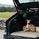 A dog wearing an orange dog collar sitting in the trunk of a car on a beige coloured luxury dog travel bed mattress with green fields in the background.
