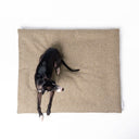 A black dog seen from above lying on a beige luxury dog travel pad on a white backdrop.
