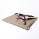 A black dog lying on a beige luxury travel dog bed mattress on a white backdrop.
