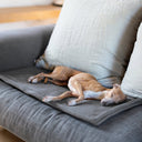 Double Fleece Dog Blankets - Charley Chau - luxury dog bedding