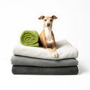 A small sighthound dog sitting on top of a stack of three folded luxury, anti-pil,  Double Fleece Dog Blankets by designers Charley Chau, in pale grey, a mid blue-grey and charcoal , with a rolled up fleece dog blanket in moss green next to the dog, photographed on a clean white background.