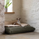 A small brown and white dog sitting on a beige sherpa fleece dog blanket, on top of a luxurious but practical olive green water-resistant dog bed mattress made from dry-wax cotton canvas, in a country home setting with stone floors and white washed stone walls.