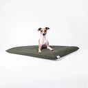A small brown and white dog sits on a rectangular dark olive green water-resistant dog bed mattress / dog crate pad against a clean white studio background.