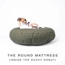 A small brown and white dog lies on a round, cushioned olive green dog mattress made from a water-resistant cotton canvas, against a white background. Text below reads 'THE ROUND MATTRESS (INSIDE THE DUCKY DONUT)'.