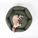A top-down view of a round, water-resistant donut style dog bed with cosy, high sides, in an olive green, tough water-resistant fabric, with a small brown and white dog sleeping comfortably, on a white background.