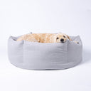 A labradoodle dog resting calm and content in a luxury high-sided donut dog bed on a white backdrop.