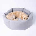 A labradoodle dog curled up and asleep in a pale blue calming, luxurous  donut dog bed 